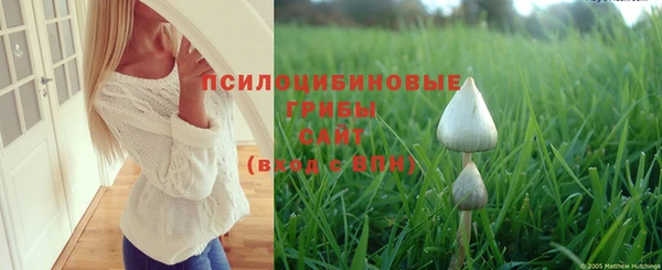 героин Алексин