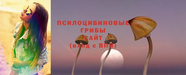 кокс Алзамай