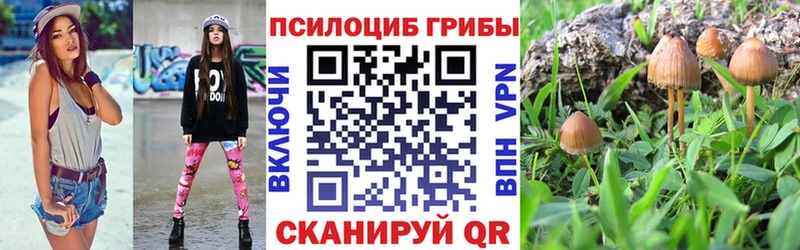 Галлюциногенные грибы прущие грибы  Томмот 